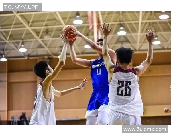 篮球竞技与文化交融之路探索：从街头到职业赛场的演变与未来发展